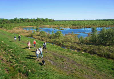 Aktive Wandergruppe auf dem Hünenweg. Foto: LEADER-Region Erholungsgebiet Hasetal